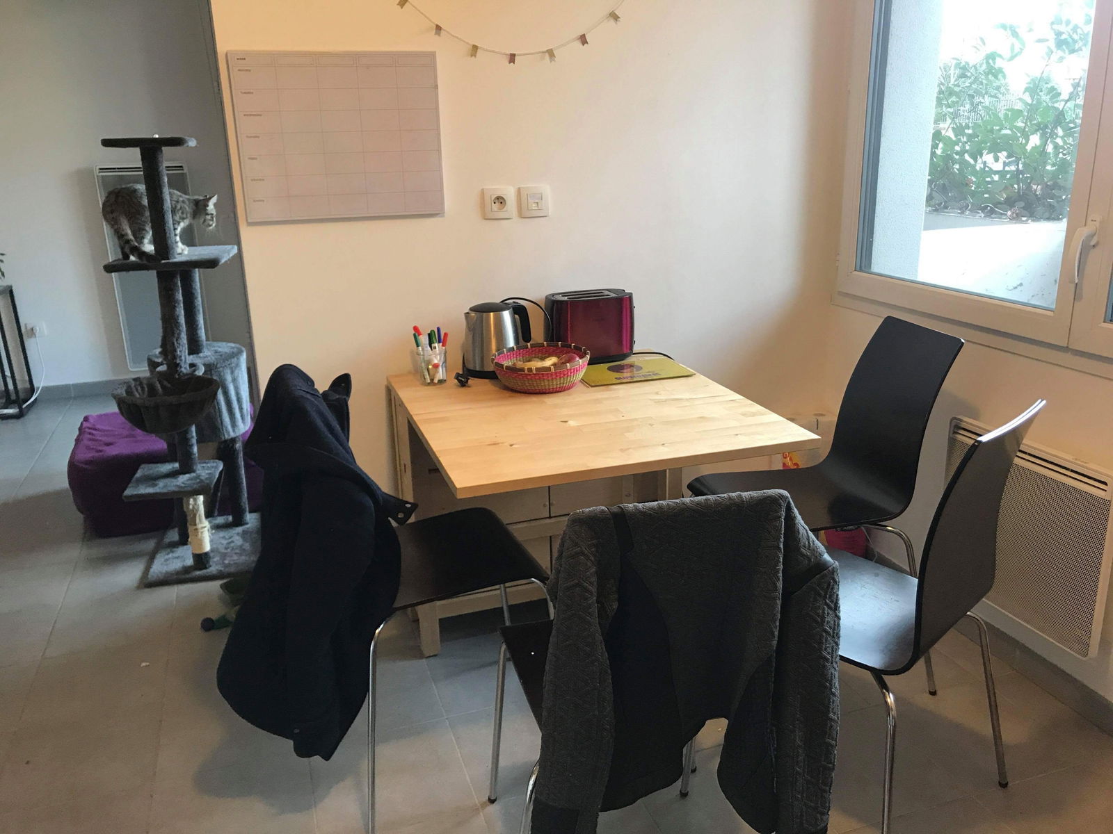 Colocation Toulouse 190801