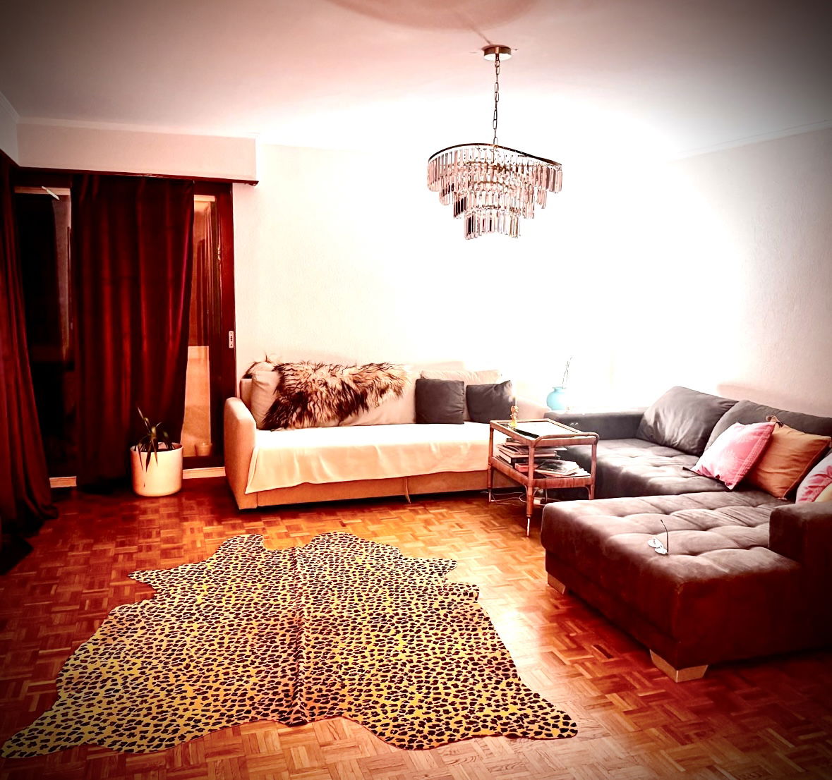 Colocation Montreux 524261