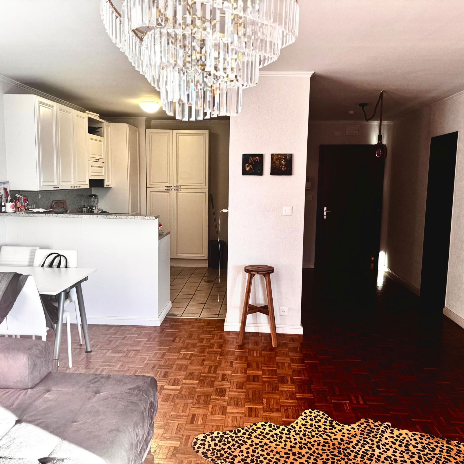 Colocation Montreux 524261