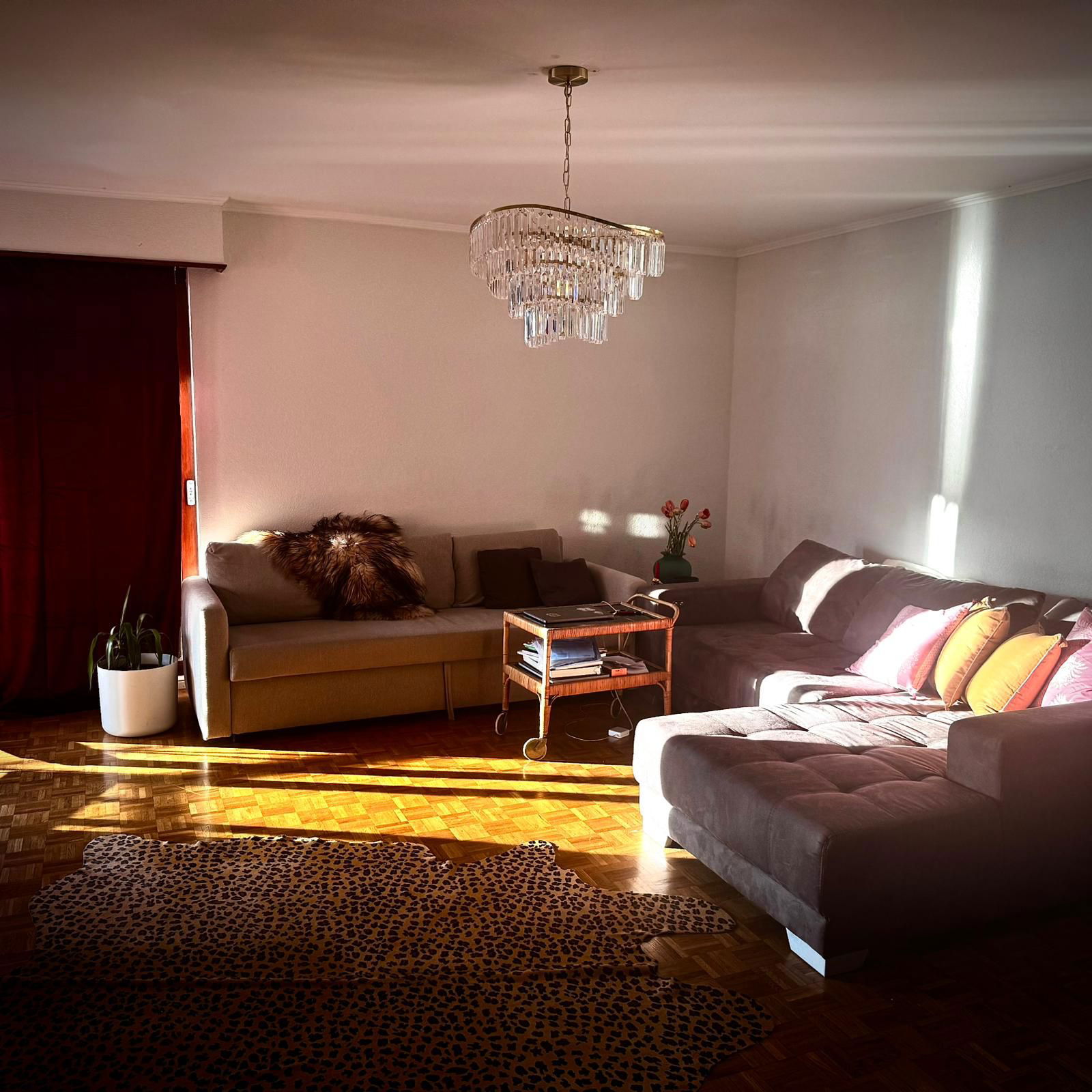 Colocatie Montreux 524261