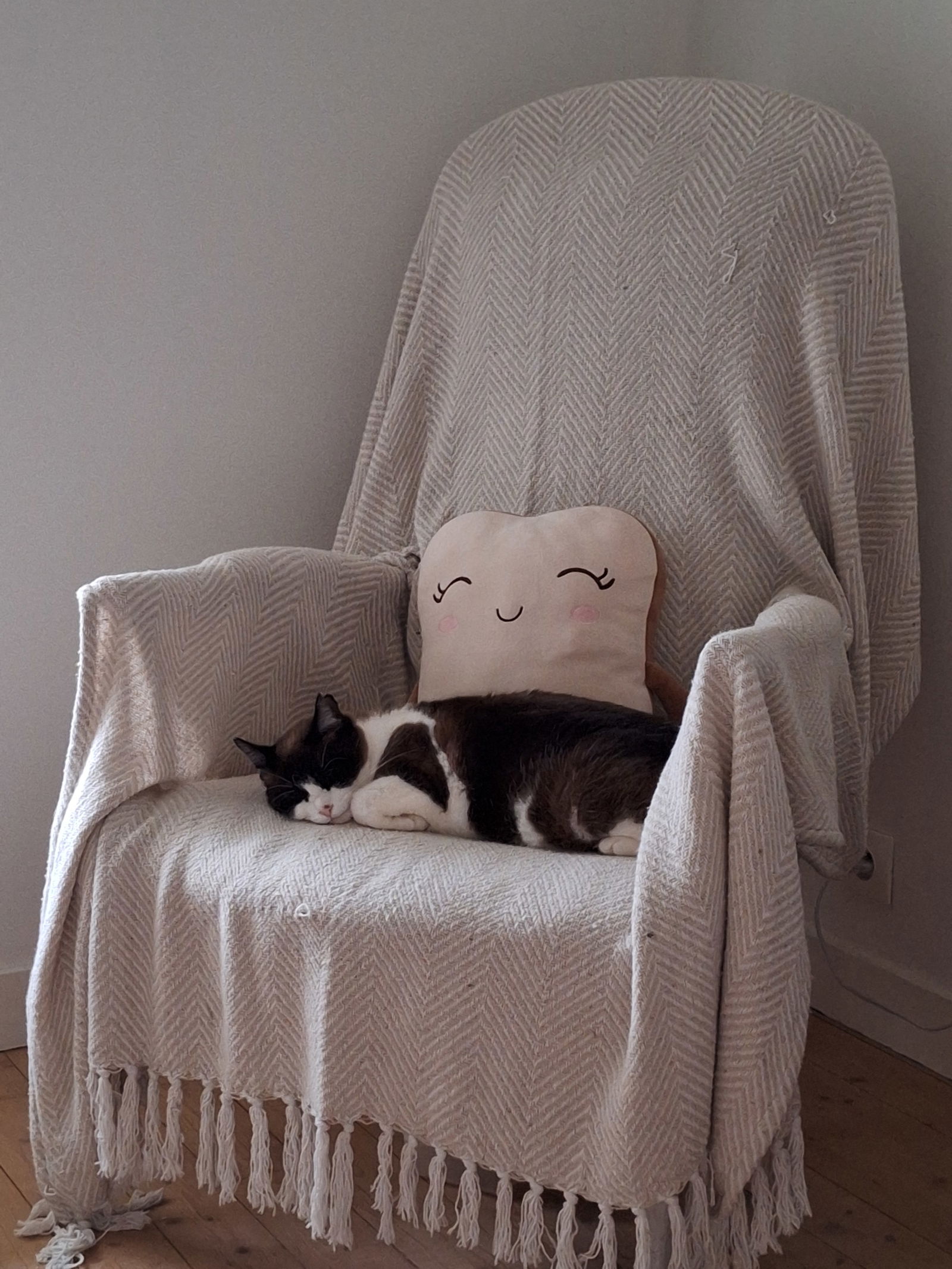 Chambre Chez L'habitant Jonzac 628632