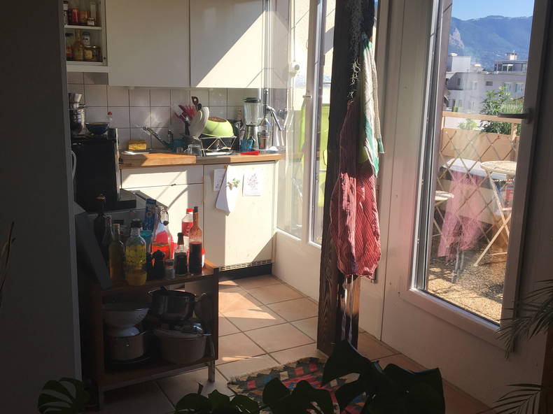 Homestay Genève 233467-4