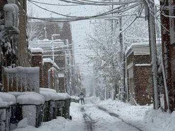 Colocation à louer à Montréal - autre pièce-5