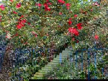 Chambre Chez L'habitant Paris 662625-2