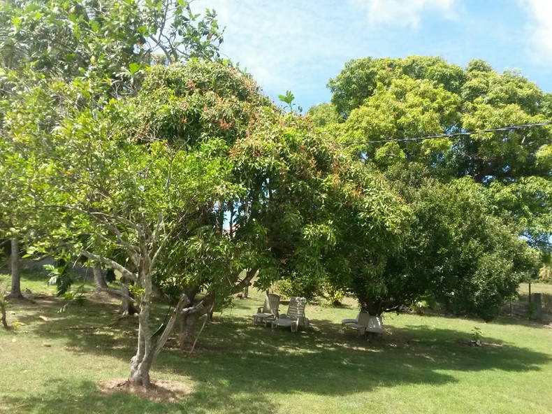 Quedarse En Casa Le Moule 166646-2