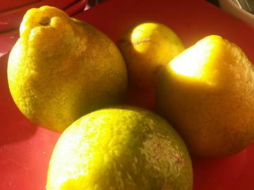 Chambre Chez L'habitant Le Moule 166646-6