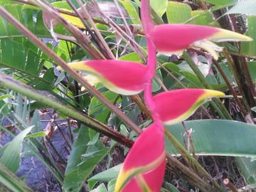 Chambre Chez L'habitant Le Moule 166646-10