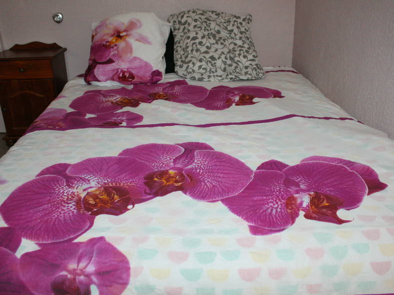 Chambre Chez L'habitant Cannes 225733-1