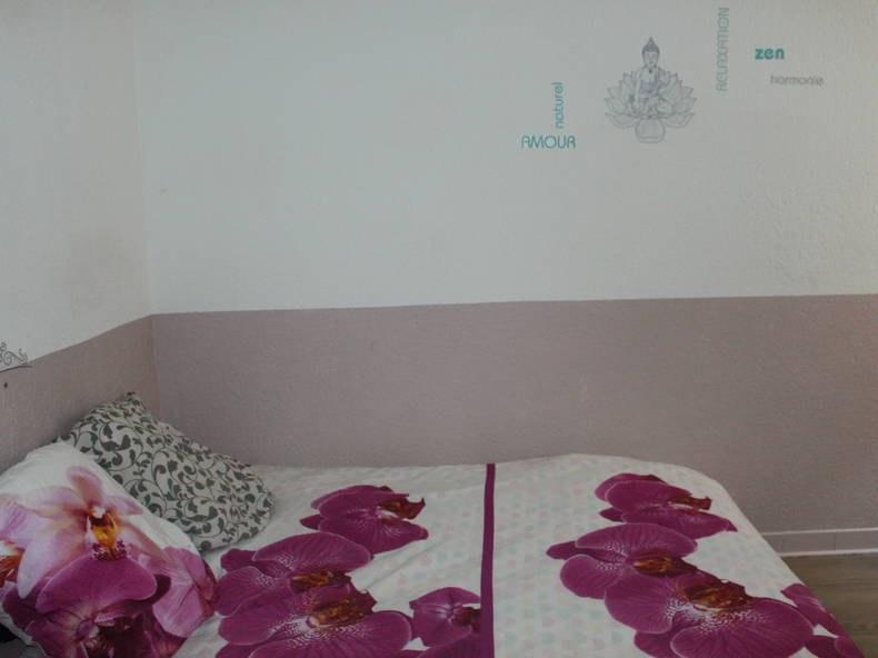 Chambre Chez L'habitant Cannes 225733-4