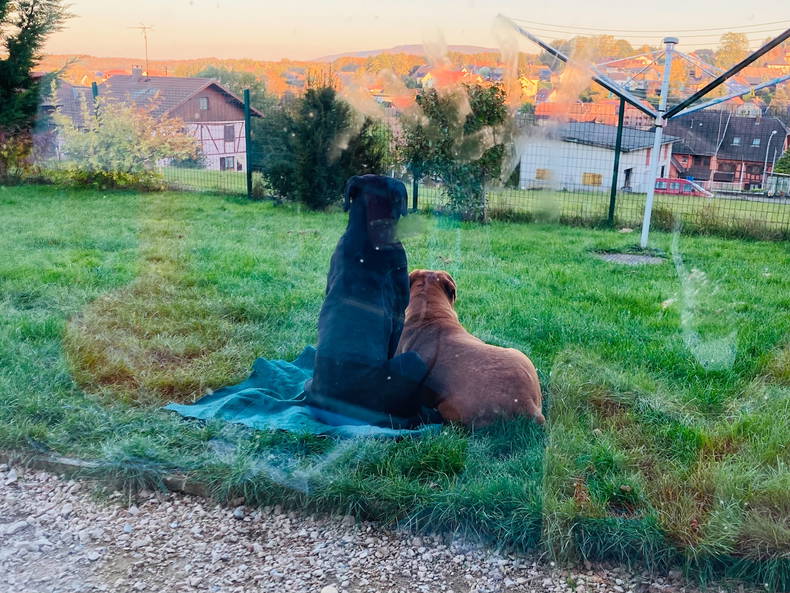 Hemvistelse Pfetterhouse 254343-5