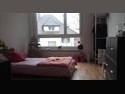 Room For Rent Fribourg 183455