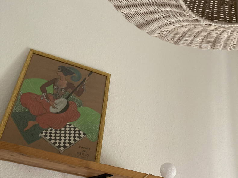 Chambre Chez L'habitant Genève 672051-2