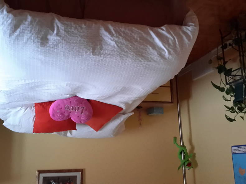 Gastfamilie Longueuil 120666-2