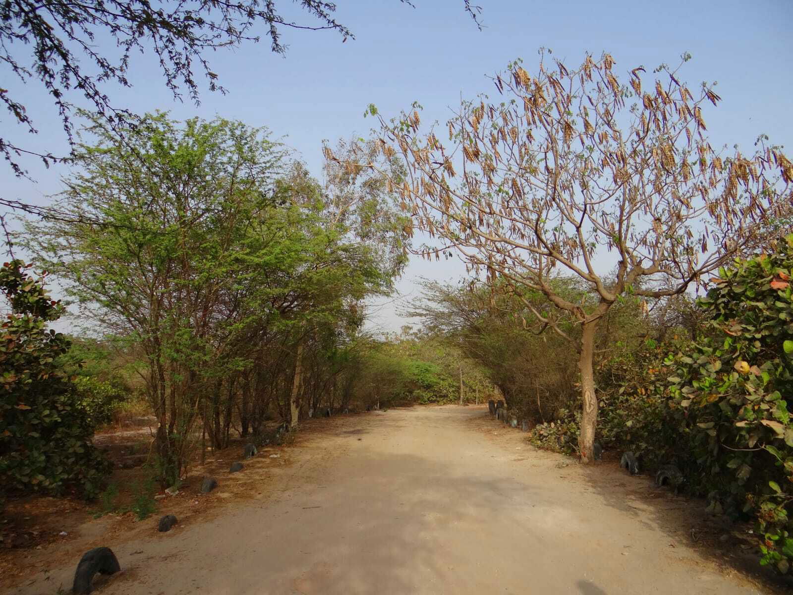 Homestay undefined 241387
