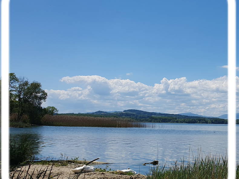 Homestay Cheyres-Châbles 582640-1