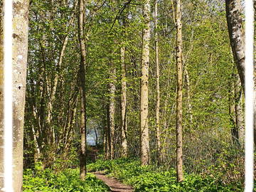Chambre Chez L'habitant Cheyres-Châbles 582640-16