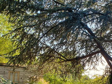 Chambre Chez L'habitant Cheyres-Châbles 582640-13