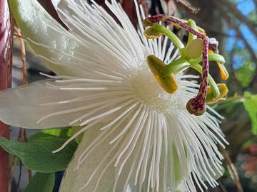 Chambre Chez L'habitant Cheyres-Châbles 582640-10
