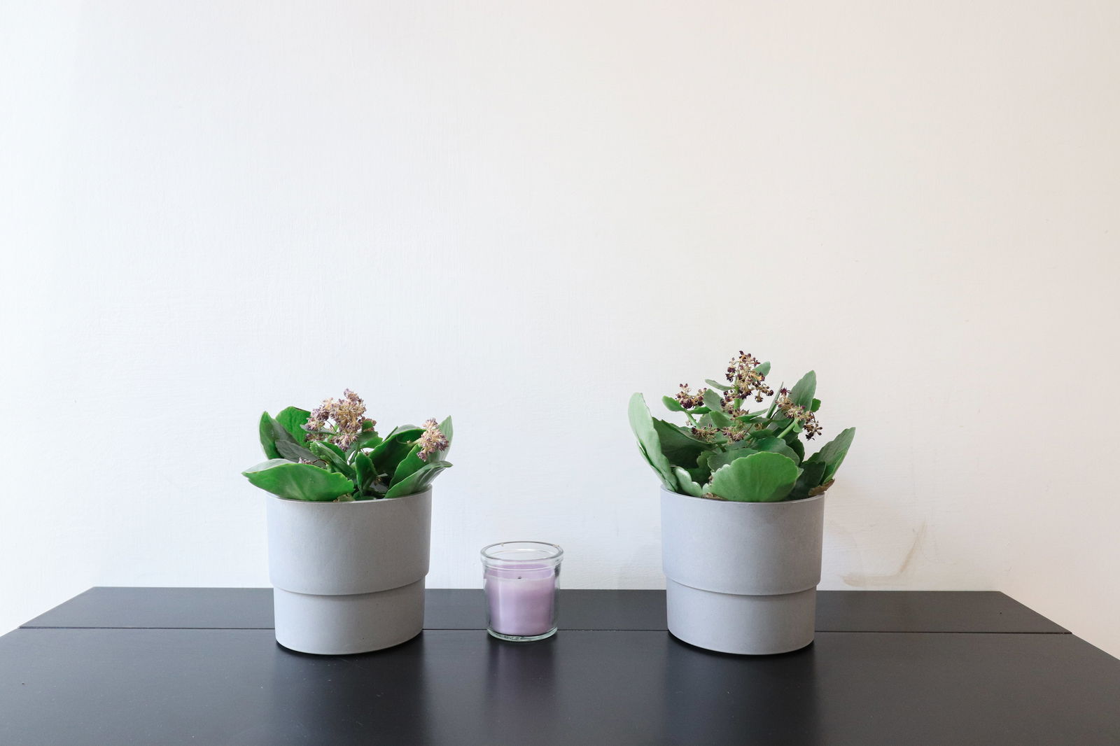 Logement Entier Roma 265487