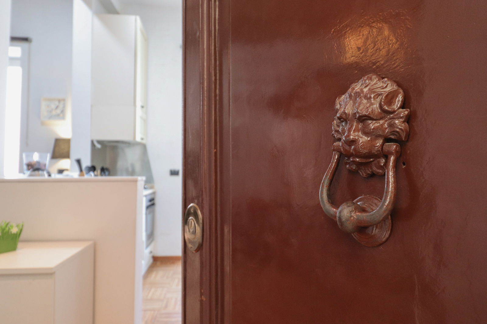 Logement Entier Roma 265487