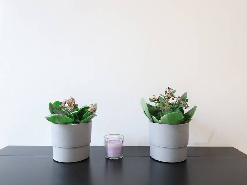 Logement Entier Roma 265487-3