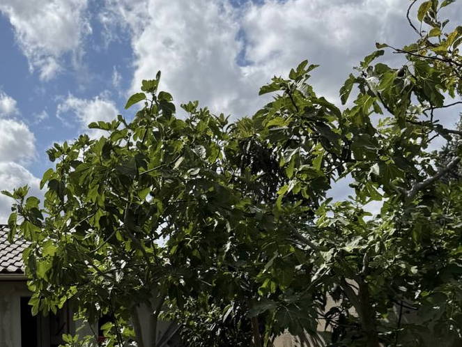 Hela Huset Le Blanc-Mesnil 659568-1