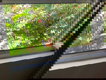 Logement Entier Le Blanc-Mesnil 659568-14