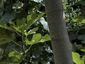 Logement Entier Le Blanc-Mesnil 659568-16