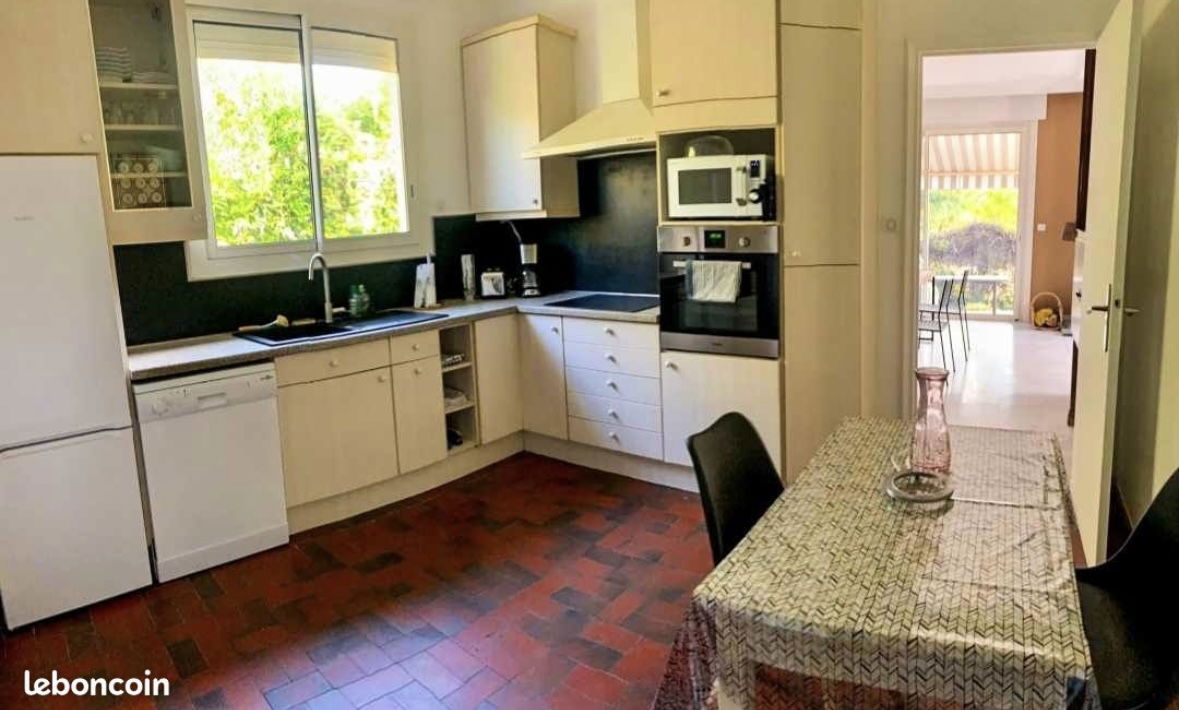 Kolokasie Albi 421101