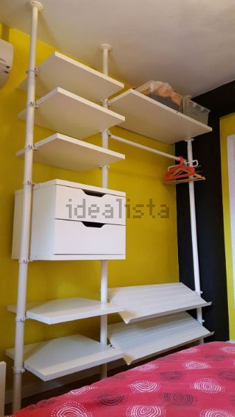 Kolokasie Madrid 96615