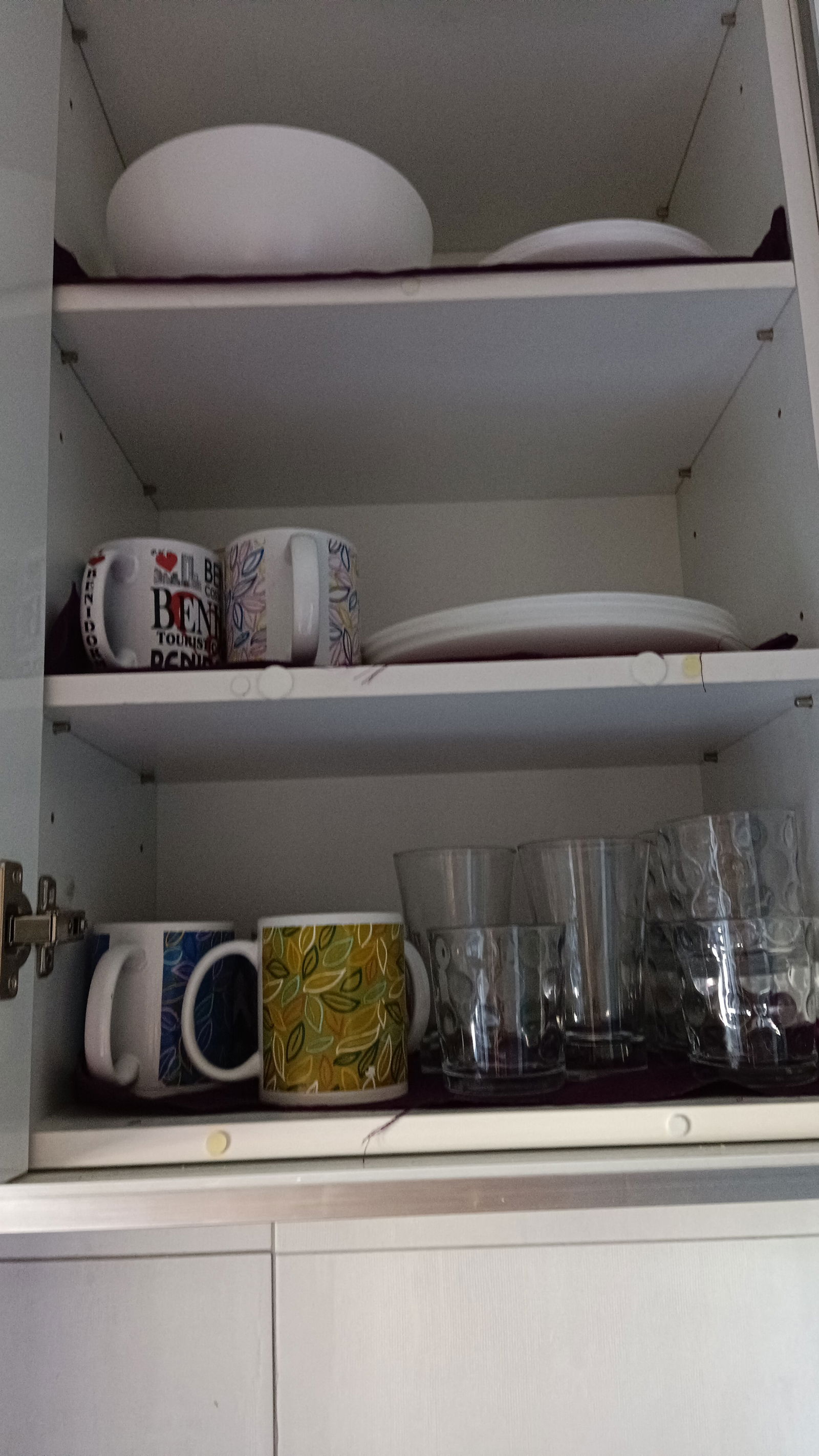 Kolokasie Madrid 400229