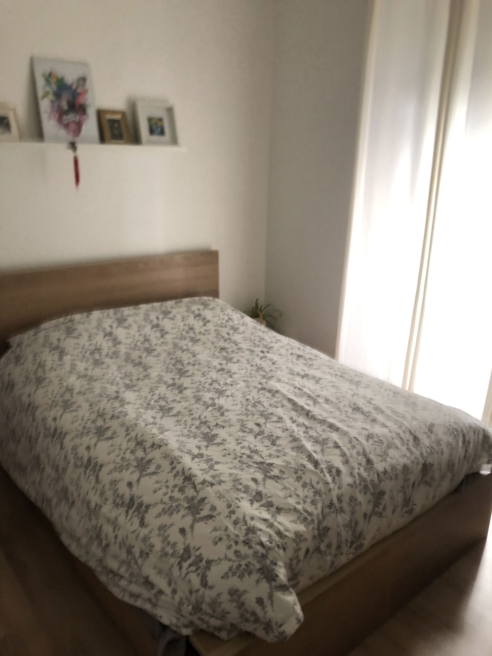 Logement Entier Lisboa 268021