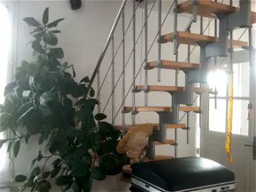 Homestay Domart-sur-la-Luce 290110
