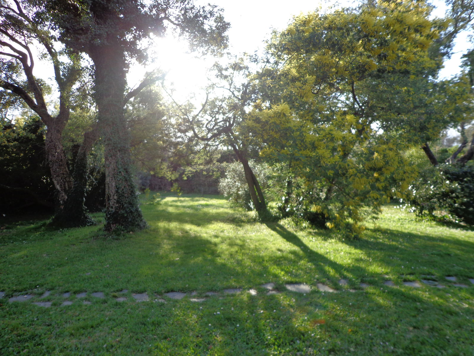 Independent Studio Prunelli-di-Fiumorbo 218679