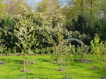 Homestay Liège 360985-14