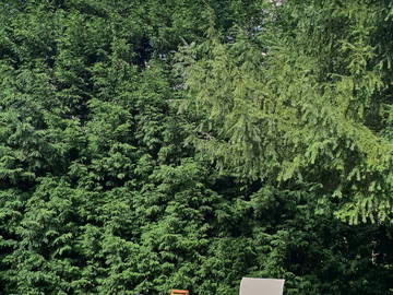 Homestay Liège 360985-11