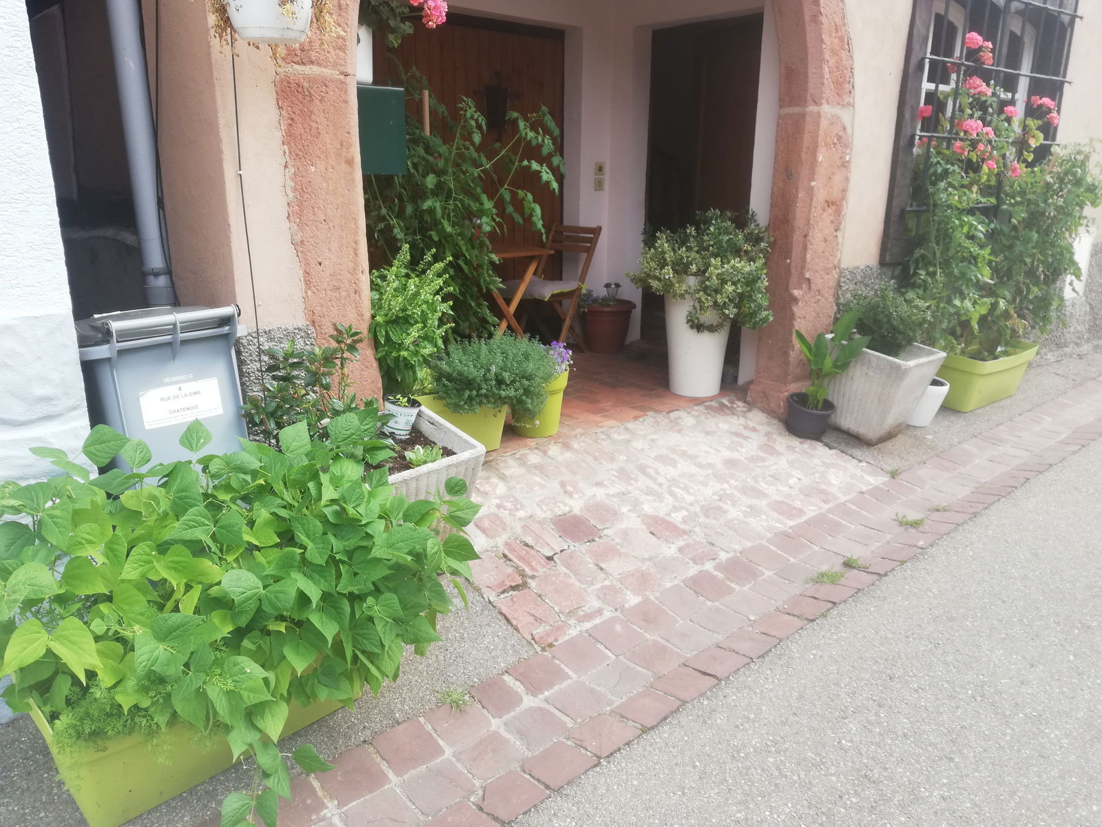 Järjestäminen Châtenois 249655