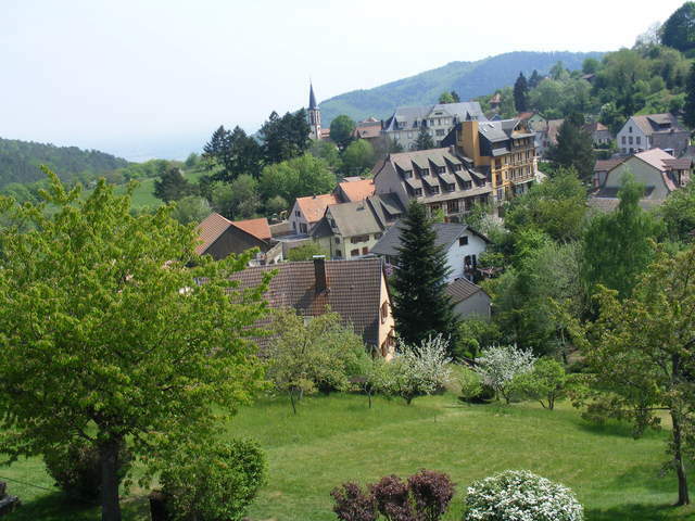 Itsenäinen Studio Thannenkirch 50079