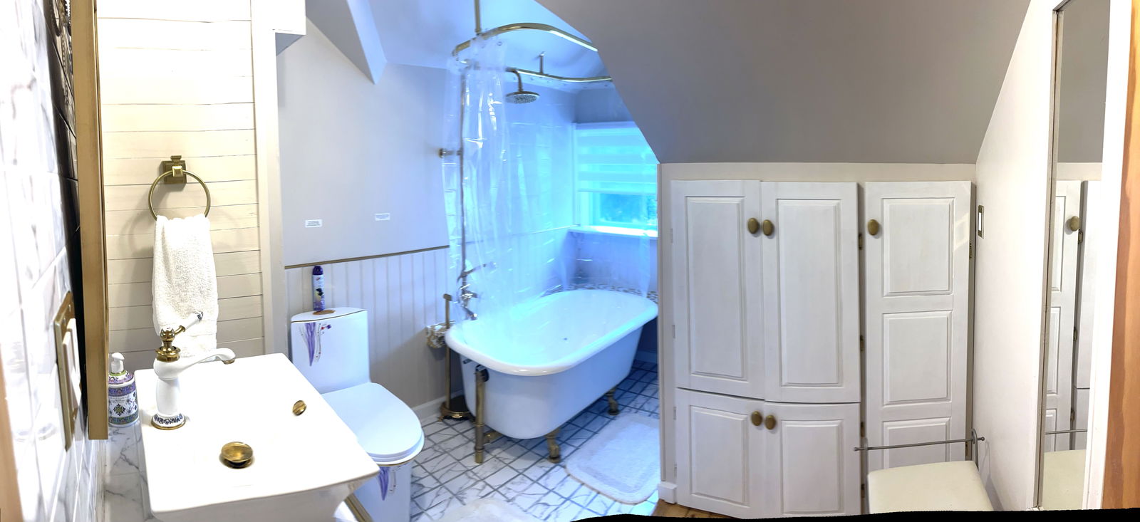 Kolokasie Lévis 656322