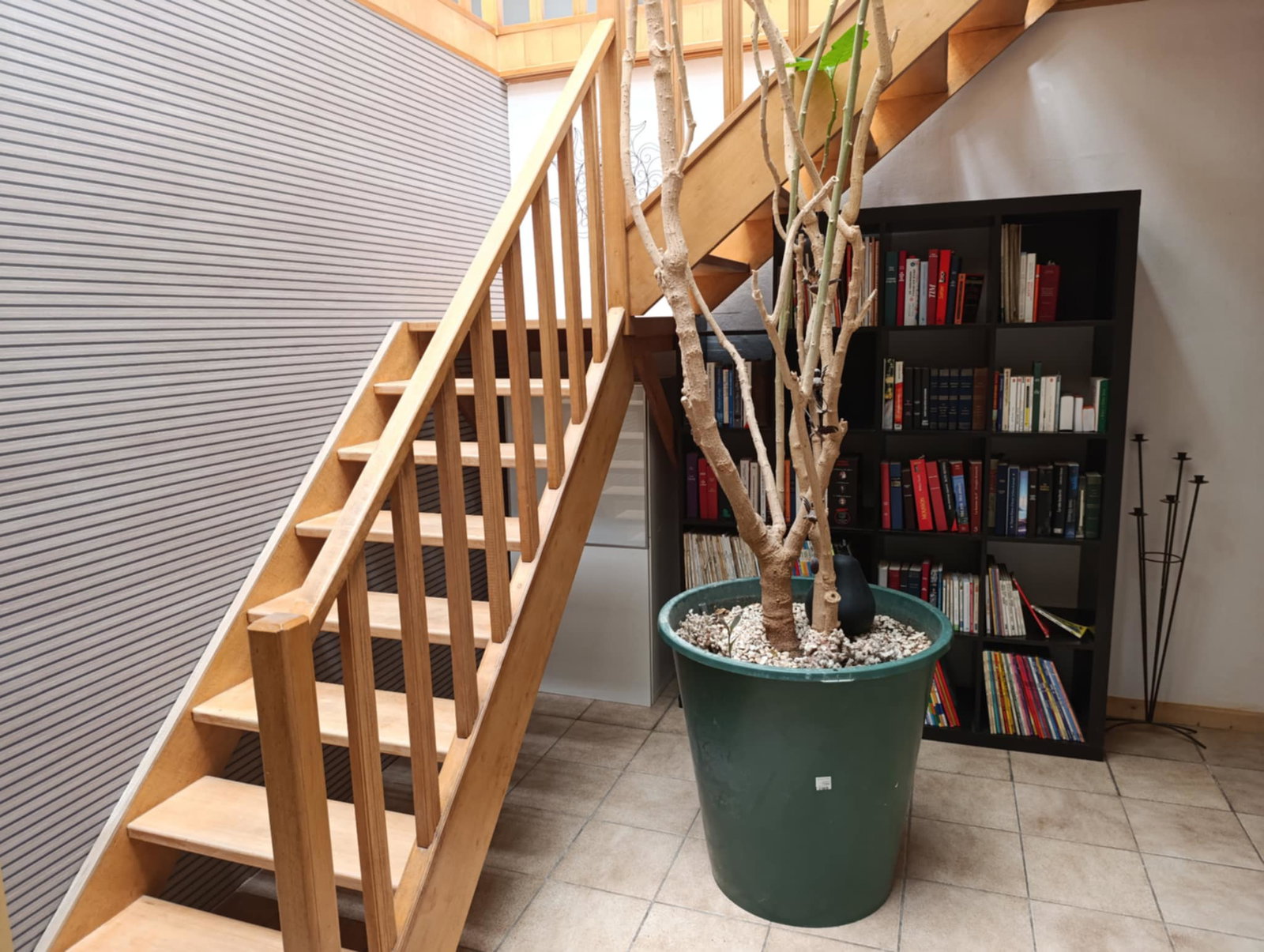 Coliving Namur 495981