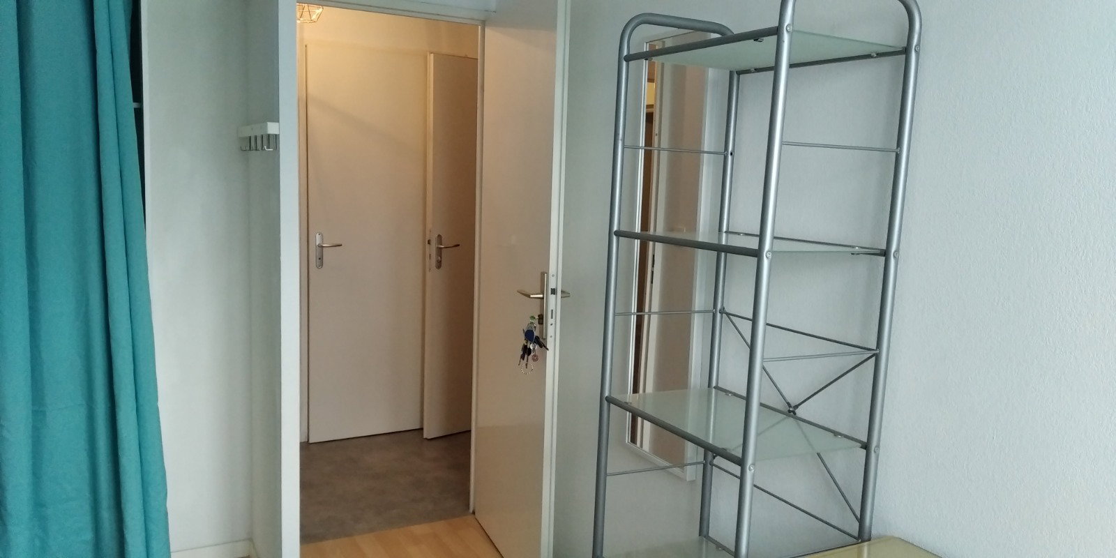 Kolokasie Toulouse 646905