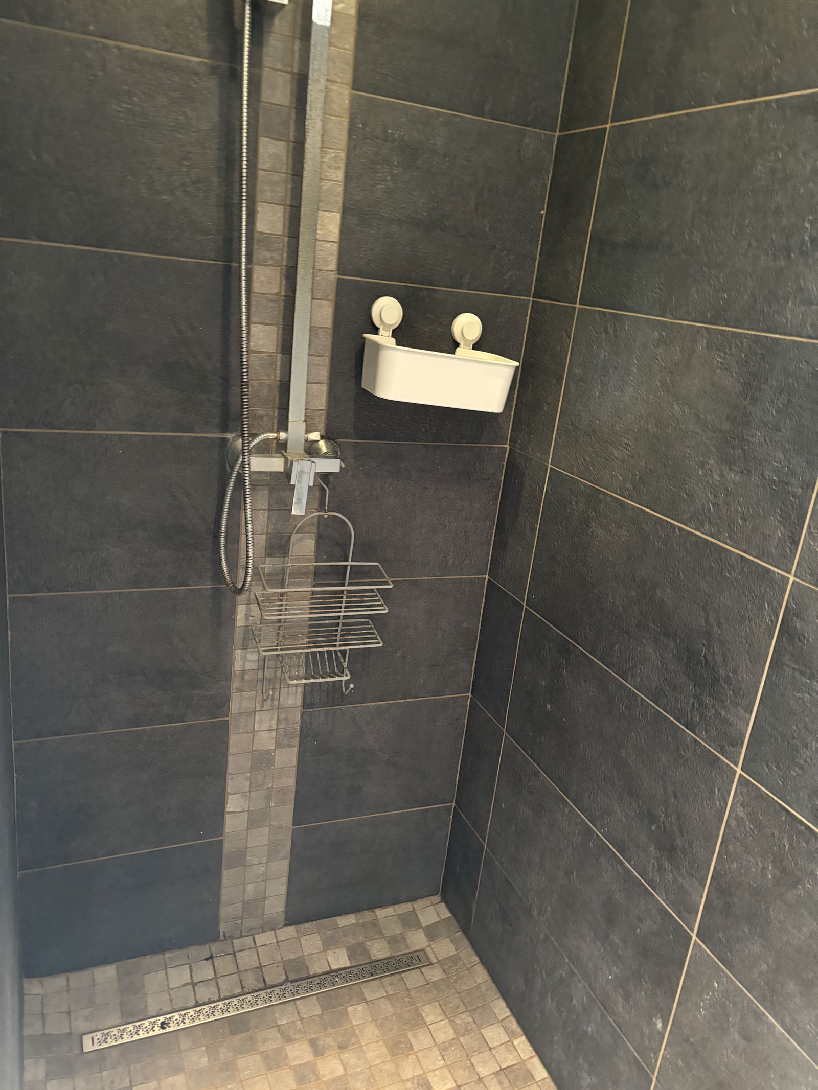 Gastgezin Saint-Varent 594232