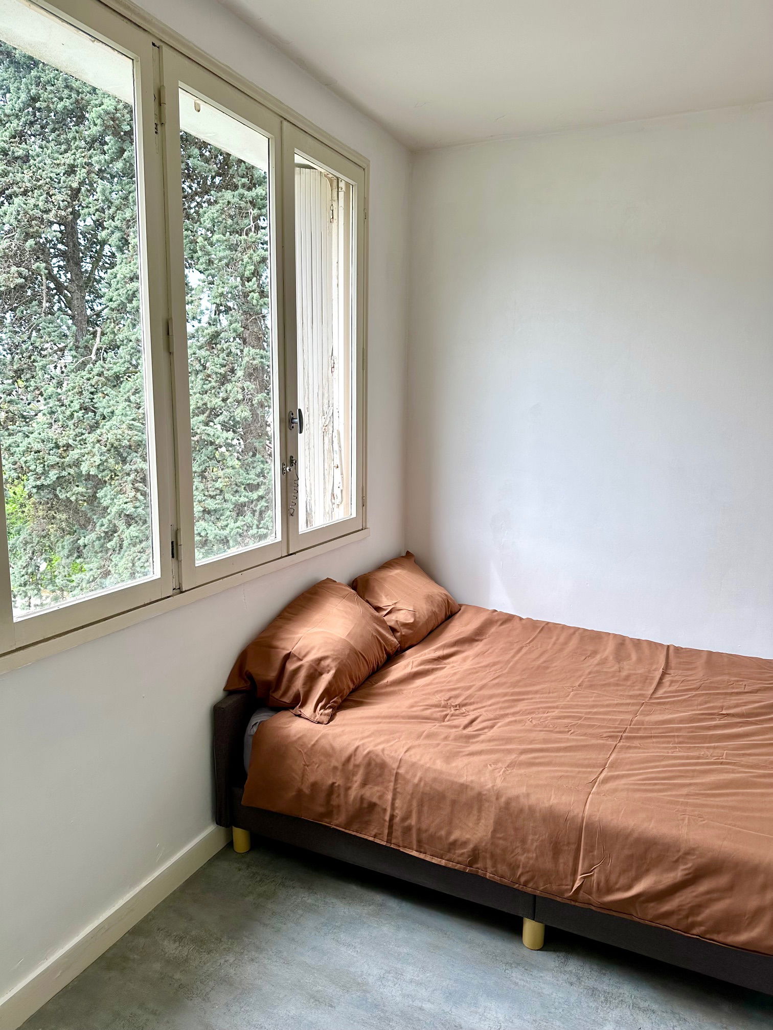 Colocatie Angers 531553