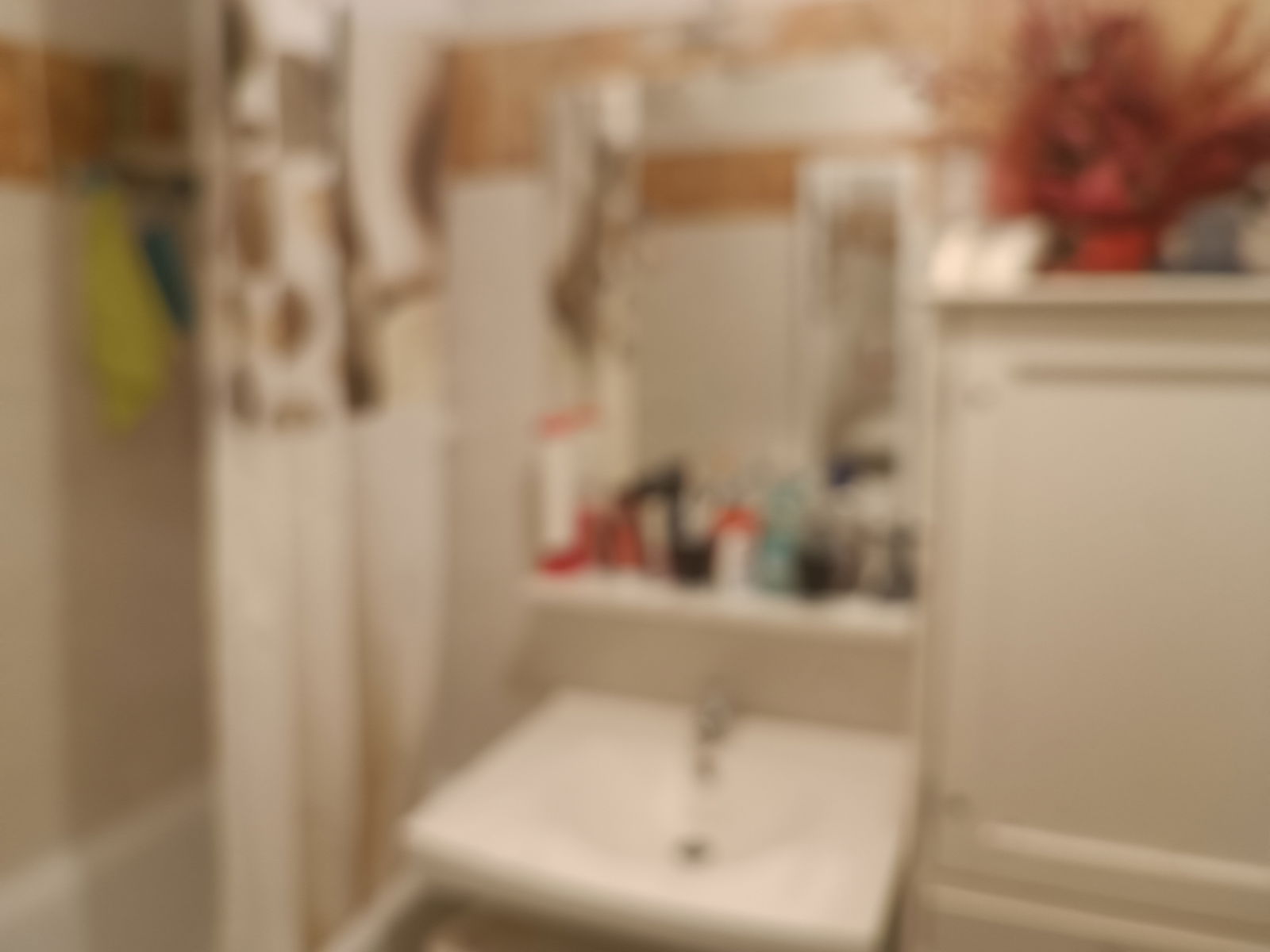 Colocatie Annemasse 461702