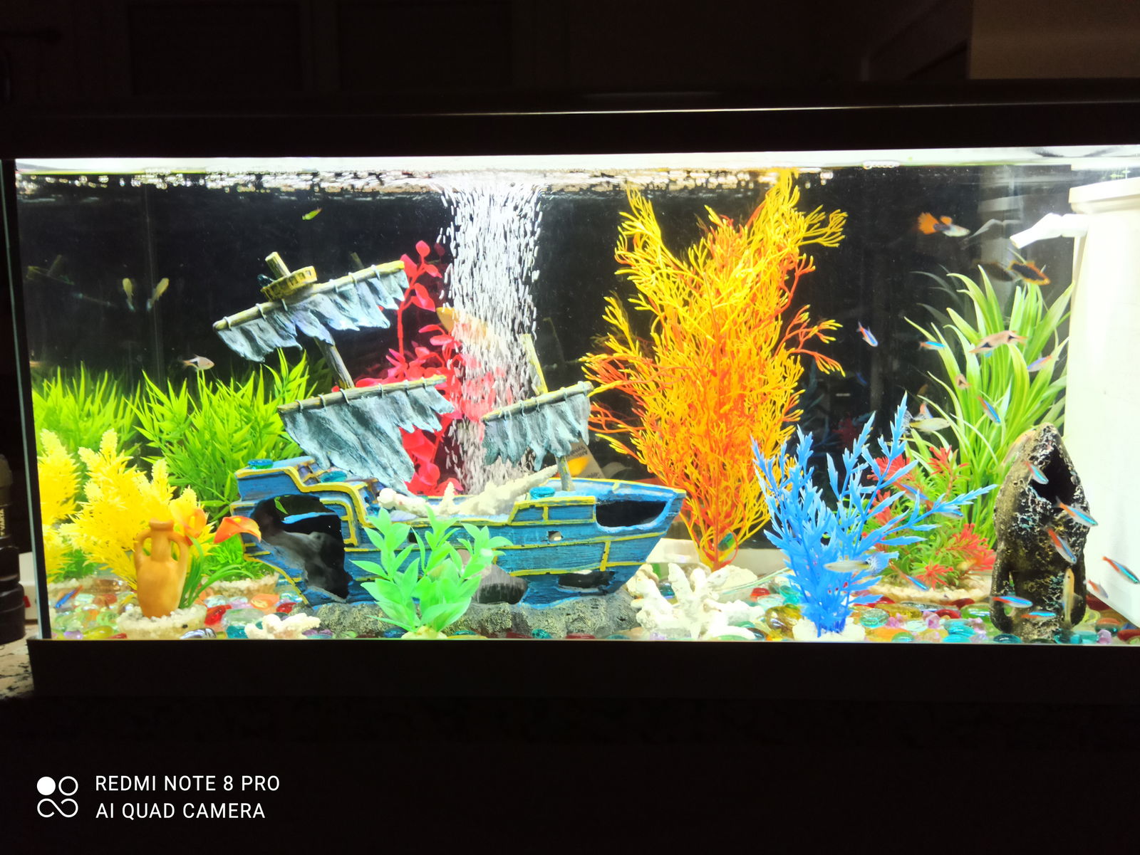 Gastgezin Montlieu-la-Garde 486166