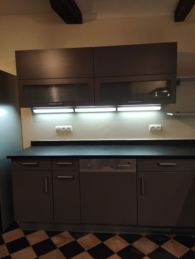 Kolokasie Tournai 502984