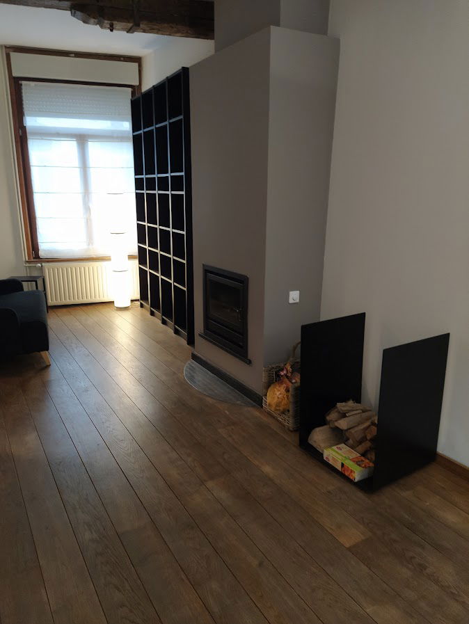 Kolokasie Tournai 502984