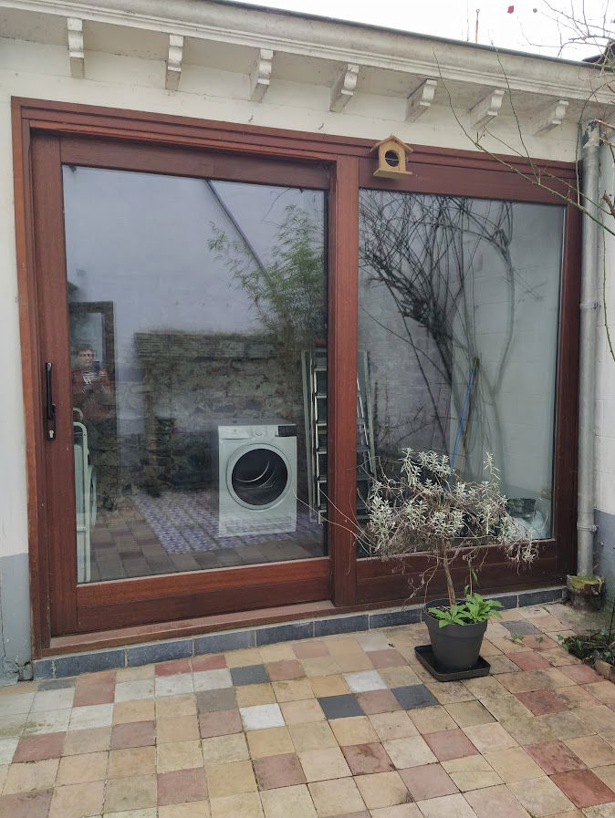 Kolokasie Tournai 502984