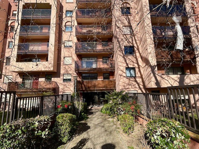 Kolokasie Toulouse 546236