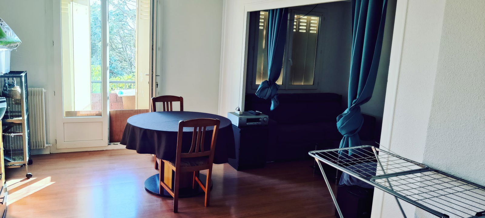 Kolokasie Mérignac 462641